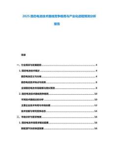 2025固態電池技術路線競爭格局與產業化進程預測分析報告