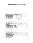 儲(chǔ)能系統(tǒng)技術(shù)路線比較與市場(chǎng)前景預(yù)測(cè)報(bào)告