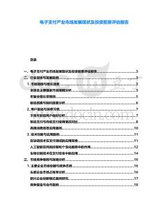電子支付產(chǎn)業(yè)市場發(fā)展現(xiàn)狀及投資前景評估報告