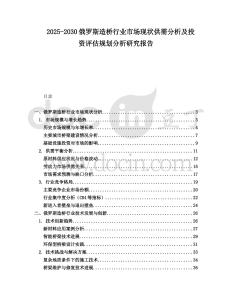 2025-2030俄羅斯造橋行業市場現狀供需分析及投資評估規劃分析研究報告