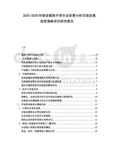 2025-2030河南省煤炭開采行業供需分析市場發展投資策略評估研究報告