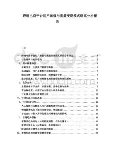 跨境電商平臺用戶畫像與流量變現模式研究分析報告