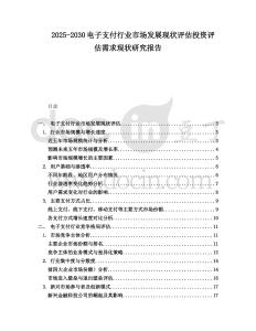 2025-2030電子支付行業(yè)市場發(fā)展現(xiàn)狀評估投資評估需求現(xiàn)狀研究報告