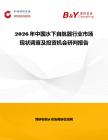 2026年中國水下自航器行業市場現狀調查及投資機會研判報告