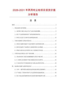 2026-2031年兩用吹塵槍項目投資價值分析報告