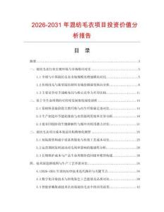 2026-2031年混紡毛衣項目投資價值分析報告