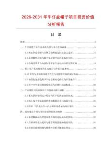 2026-2031年牛仔盆帽子項(xiàng)目投資價(jià)值分析報(bào)告