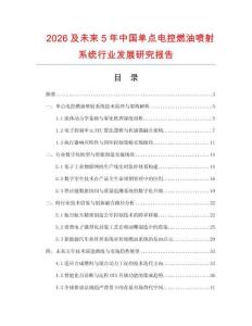 2026及未來5年中國單點(diǎn)電控燃油噴射系統(tǒng)行業(yè)發(fā)展研究報(bào)告