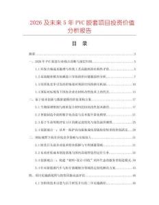 2026及未來5年PVC膠套項目投資價值分析報告