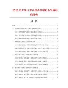 2026及未來5年中國鐵皮鎖行業(yè)發(fā)展研究報告