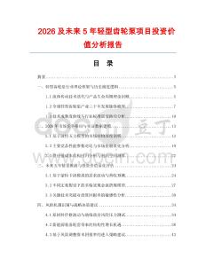 2026及未來5年輕型齒輪泵項目投資價值分析報告