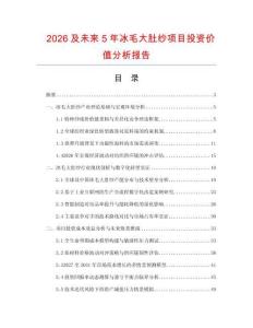 2026及未來5年冰毛大肚紗項(xiàng)目投資價值分析報告