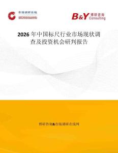 2026年中国标尺行业市场现状调查及投资机会研判报告