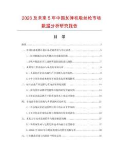 2026及未來5年中國加彈機吸絲槍市場數據分析研究報告
