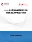 2026年中國自動油罐監(jiān)控儀行業(yè)市場規(guī)模及競爭格局分析報告
