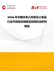 2026年中国未来几年膨化小食品行业市场现状调查及投资机会研判报告