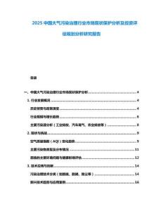 2025中国大气污染治理行业市场现状保护分析及投资评估规划分析研究报告