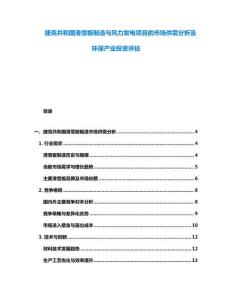 捷克共和国滑雪板制造与风力发电项目的市场供需分析及环保产业投资评估