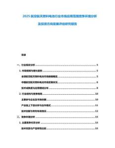 2025航空航天燃料电池行业市场应用范围竞争环境分析及投资方向发展评估研究报告
