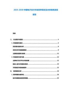 2025-2030中國電子支付市場競爭現(xiàn)狀及未來格局演變報告