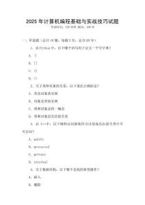 2025年計算機編程基礎與實戰技巧試題