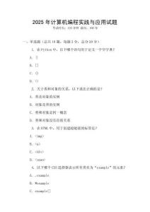 2025年計算機編程實踐與應用試題