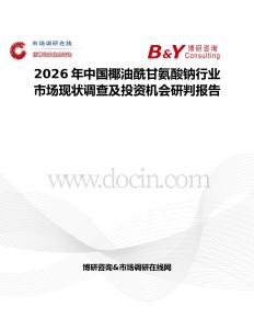 2026年中國椰油酰甘氨酸鈉行業市場現狀調查及投資機會研判報告