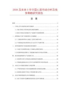 2026及未來5年中國匕首市場分析及競爭策略研究報告