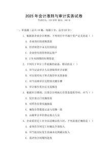 2025年會計準則與審計實務試卷