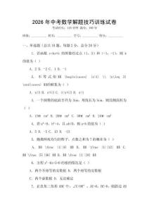 2026年中考數(shù)學(xué)解題技巧訓(xùn)練試卷