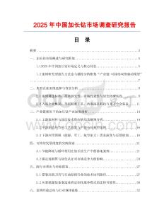 2025年中國加長鉆市場調(diào)查研究報告