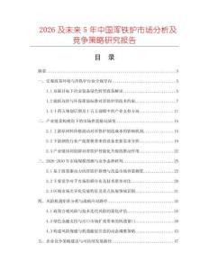 2026及未來5年中國渾鐵爐市場分析及競爭策略研究報告
