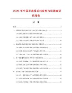 2025年中國半懸掛式轉盤窯市場調查研究報告