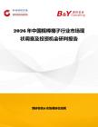 2026年中國棍棒椰子行業市場現狀調查及投資機會研判報告