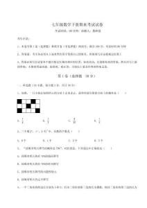 2025年度七年級數學下冊期末考試試卷【A卷】附答案詳解