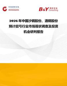 2026年中國沙鋼股份、酒鋼股份預計扭虧行業市場現狀調查及投資機會研判報告