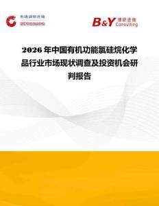 2026年中國有機功能氯硅烷化學(xué)品行業(yè)市場現(xiàn)狀調(diào)查及投資機會研判報告