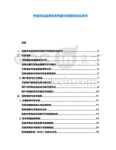 充電安全監測體系構建與風險防控白皮書