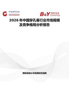 2026年中國穿孔幕行業(yè)市場規(guī)模及競爭格局分析報告