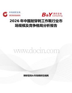 2026年中國(guó)耐穿刺工作靴行業(yè)市場(chǎng)規(guī)模及競(jìng)爭(zhēng)格局分析報(bào)告