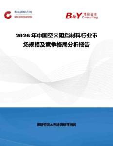 2026年中国空穴阻挡材料行业市场规模及竞争格局分析报告