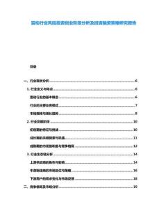 雷動行業風險投資創業階段分析及投資融資策略研究報告