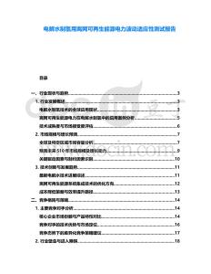 電解水制氫用離網(wǎng)可再生能源電力波動(dòng)適應(yīng)性測(cè)試報(bào)告