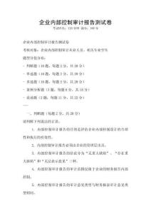 企業內部控制審計報告測試卷