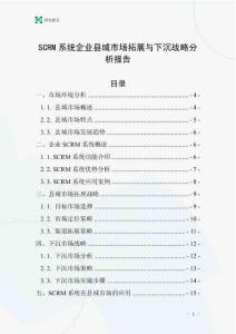 SCRM系統企業縣域市場拓展與下沉戰略分析報告