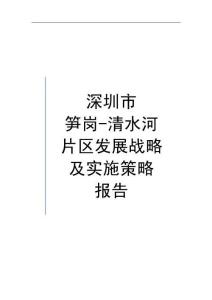 深圳市笋岗-清水河片区发展战略及实施策略报告