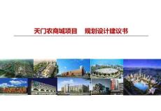 天门项目规划设计建议报告