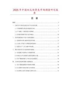 2025年中國雙孔快勞夾市場調查研究報告