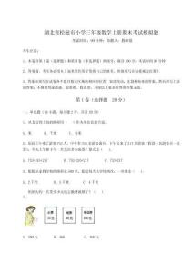 2025年湖北省松滋市小學三年級數學上冊期末考試模擬題【奪冠系列】附答案詳解