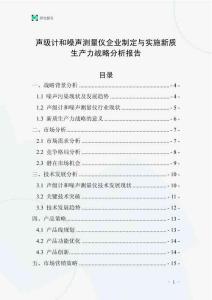 声级计和噪声测量仪企业制定与实施新质生产力战略分析报告
